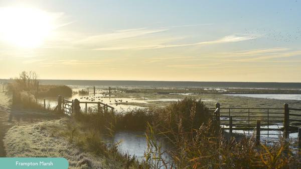 sunset over flooded marshland