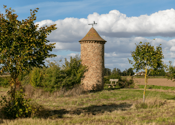 Joseph Banks Owlry Body 001