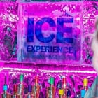Ice Experience Listing 001
