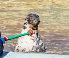 Mablethorpe Seal Sanctuary Listing 001