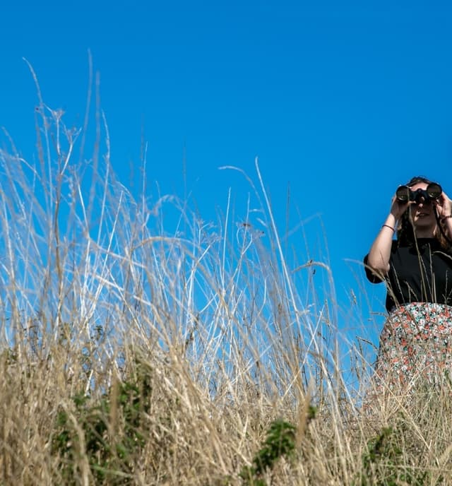 Nature Lovers Blog Main