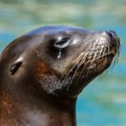 Natureland Seal Sanctuary Listing 001