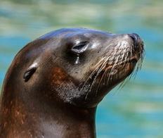 Natureland Seal Sanctuary Listing 001