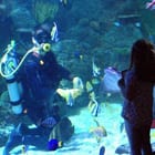 Skegness Aquarium Listing 001