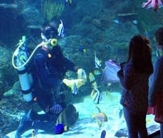 Skegness Aquarium Listing 001