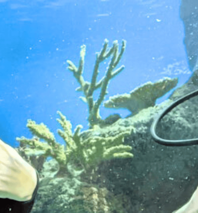 Skegness Dive Snorkelling Centre Hero 001