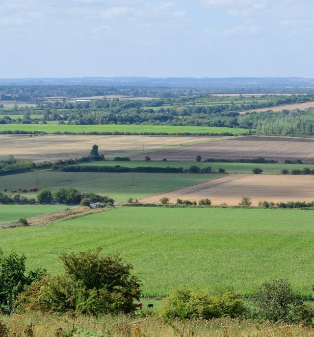 Whats On Beyond Boston Hero 001