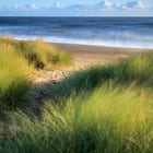 Sandilands National Trust Body 001
