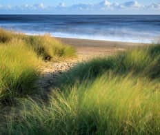 Sandilands National Trust Body 001