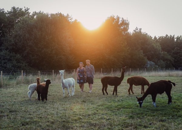 Where Is Boston Body 001